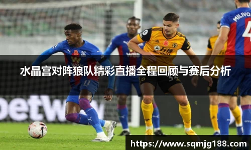 中欧体育平台